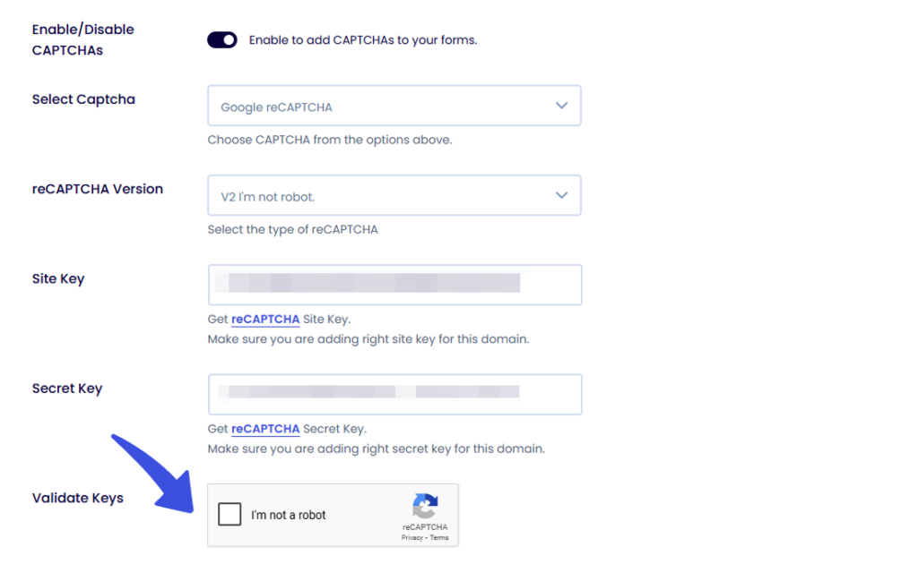 reCAPTCHA validation section