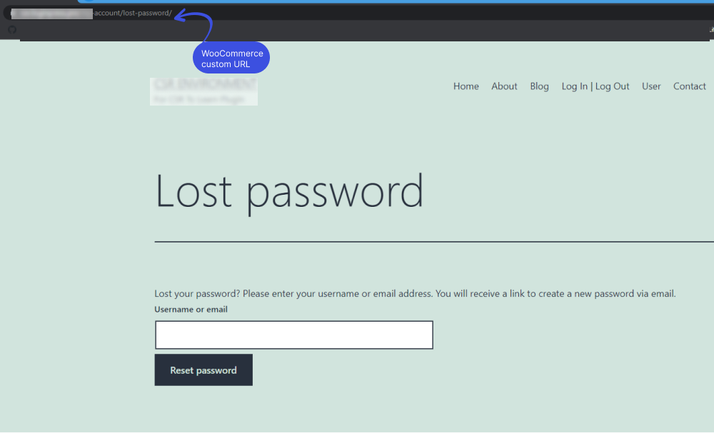 Default WooCommerce lost password URL