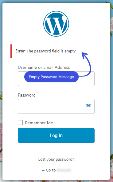 Empty Password Error Message