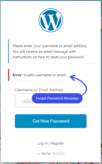 Forget Password Error Message