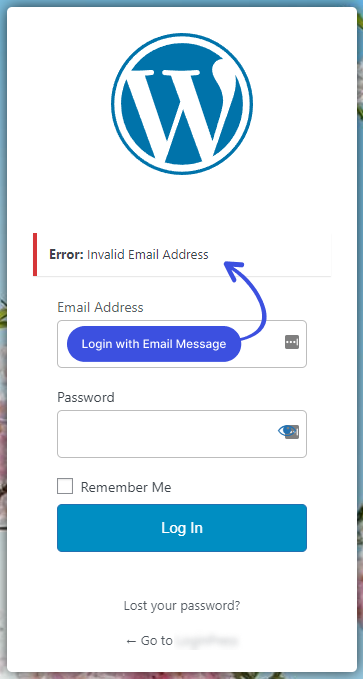 Login with Email Error Message