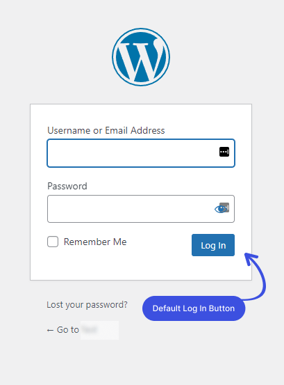 Default Log In Button