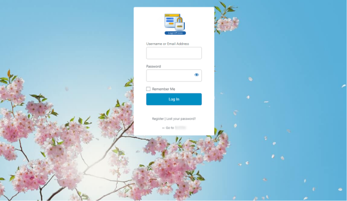 Customized Login Page