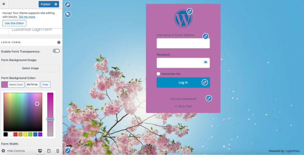 Login Form