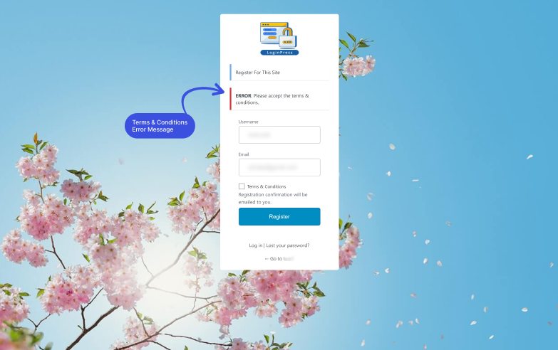 LoginPress User Registration Error message Form with Terms & Conditions Checkbox