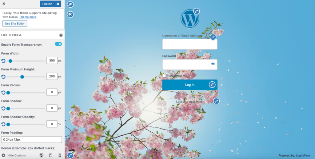 Login Form