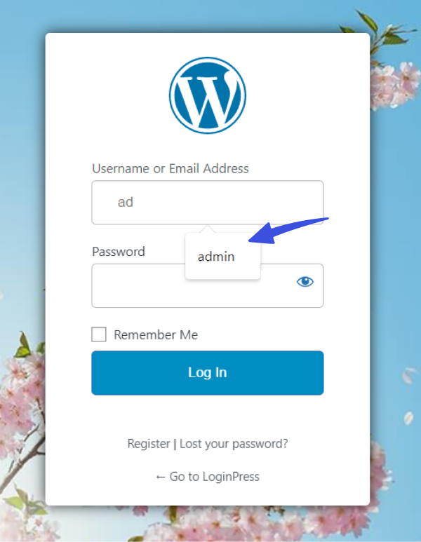 WordPress Login Page