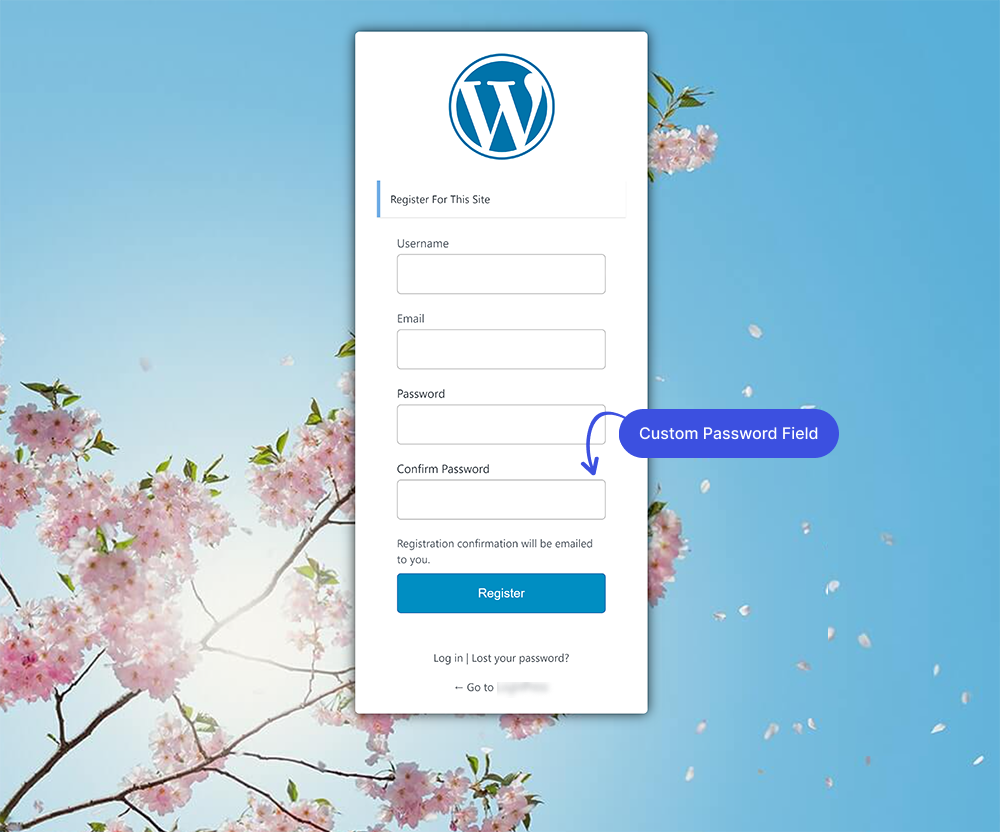 Custom Password Fields on the Registration Form with LoginPress