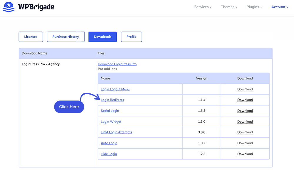 WPBrigade Account Dashboard