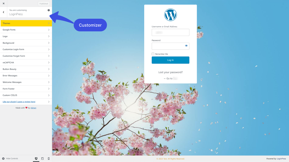 LoginPress Customizer