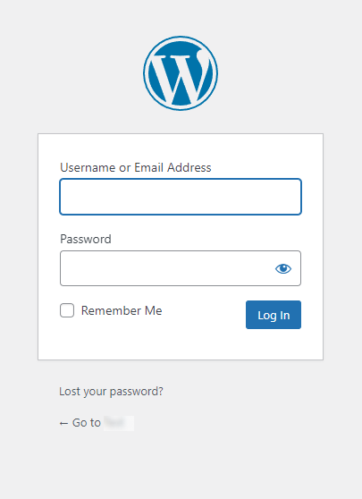 Default WordPress Login Form