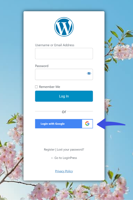 add google social login