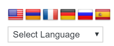 select language