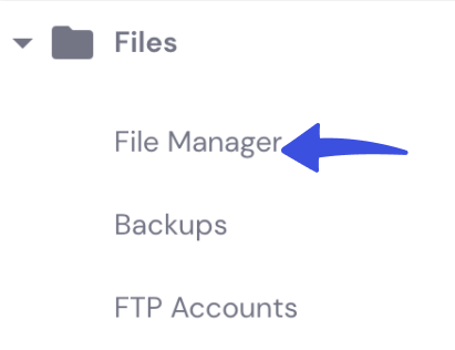 file manager