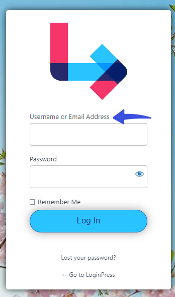 username or email address