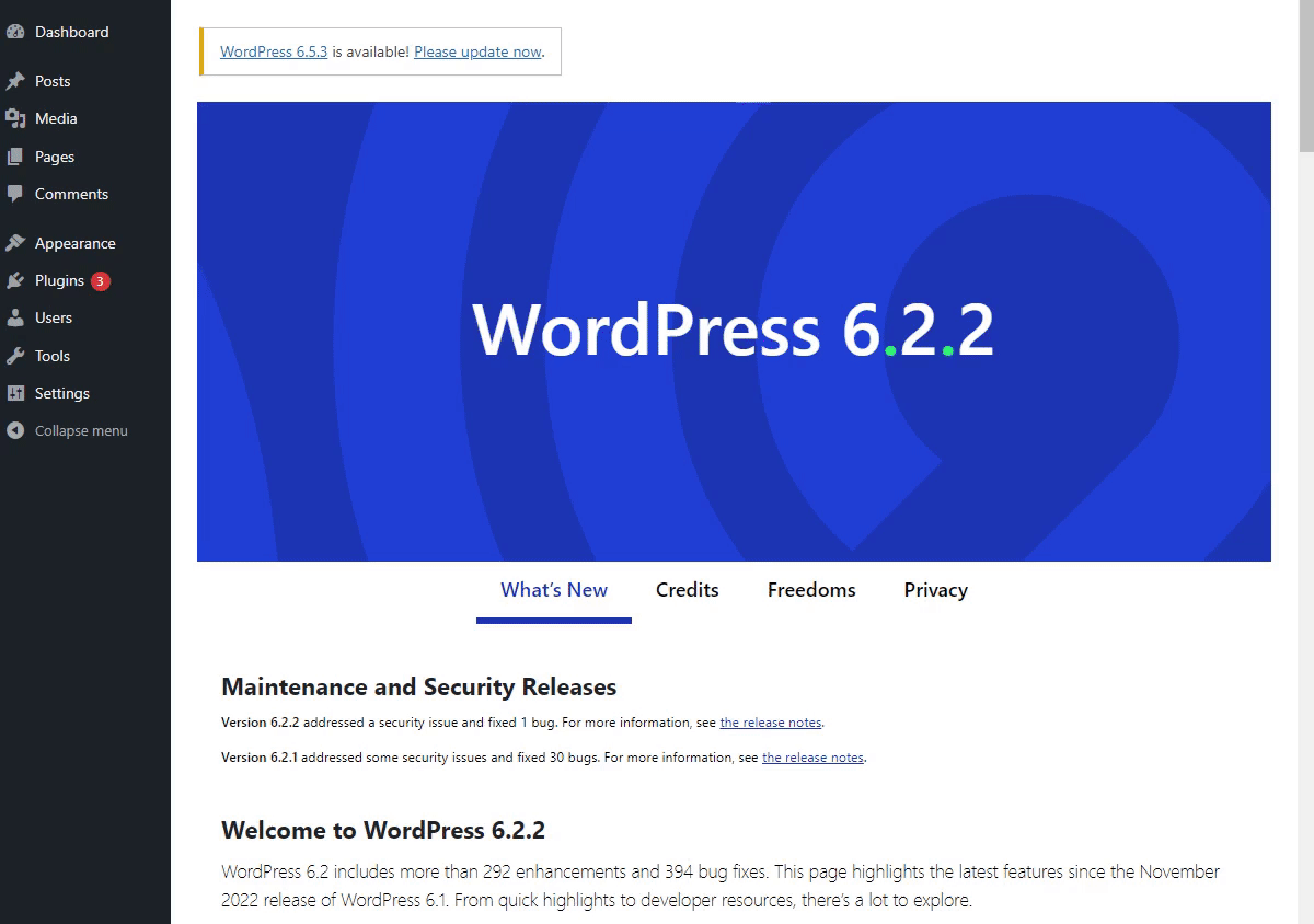 WordPress Security Audit