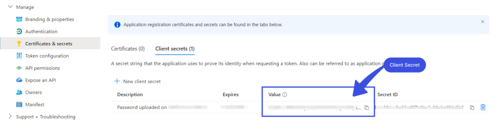 Copy Entra Client Secret