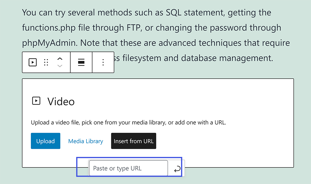 paste url in video block