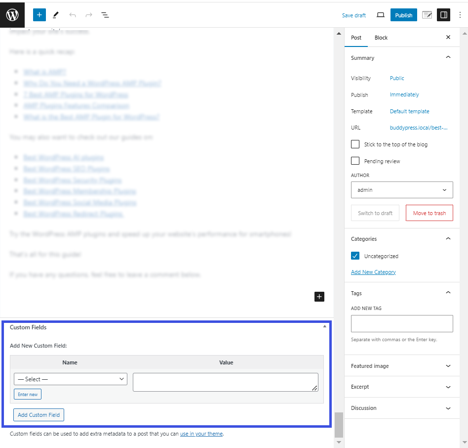 custom fields within WordPress post