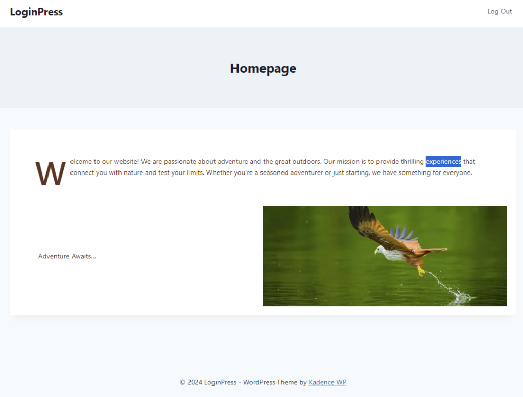homepage example