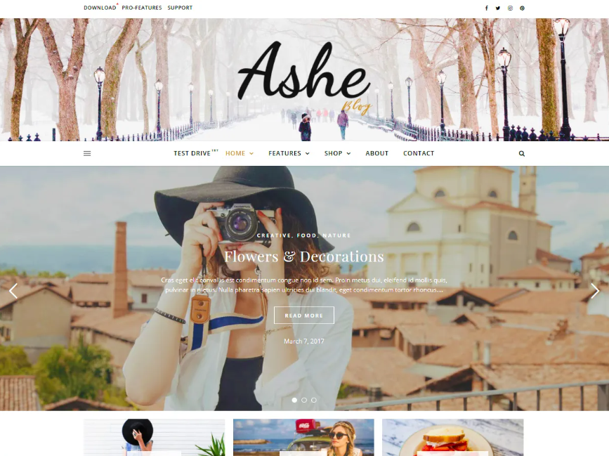 Ashe - Best SEO WordPress Themes