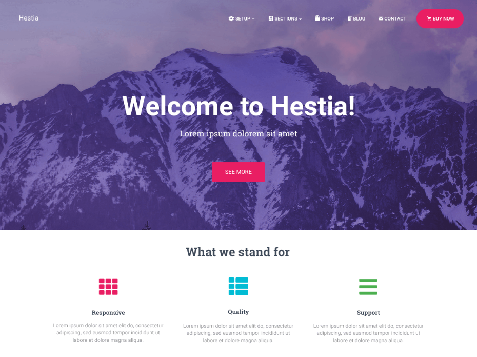 Hestia - Best SEO WordPress Themes