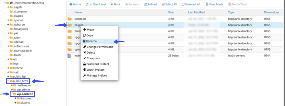 Rename Plugins Folder - Error establishing a database connection 