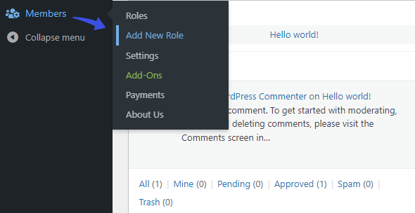 Add New Role - WordPress User Roles