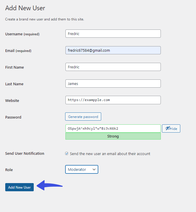 Add New User - WordPress Default User Roles