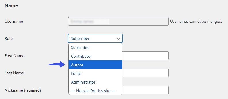 Author -  WordPress User Roles