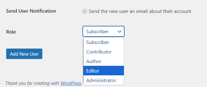 Editor - WordPress User Roles