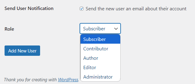 Subscriber - WordPress User Roles