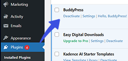 Activate BuddyPress