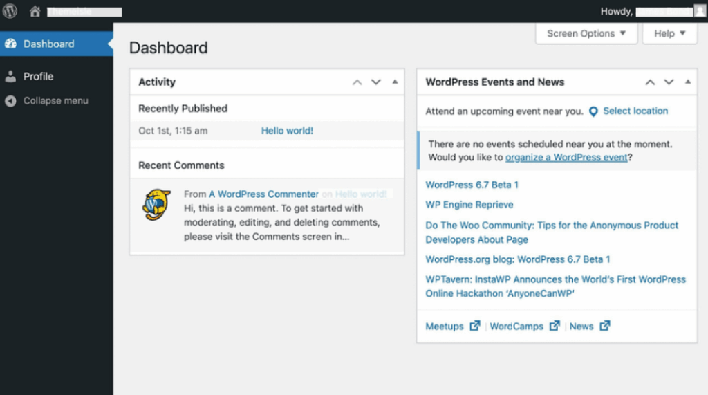 WordPress dashboard