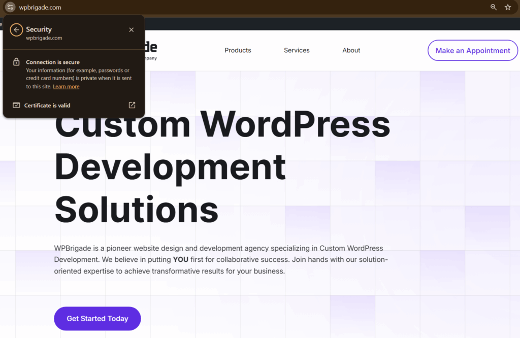 Secure connection by using SSL to secure login ux in wordpress